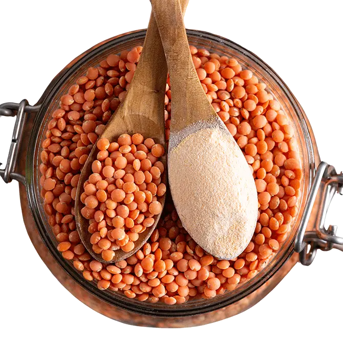 graines et céréales